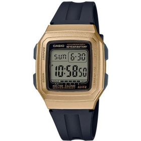 CASIO COLLECTION-90600