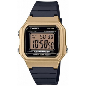 CASIO COLLECTION-90644