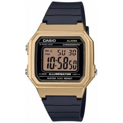 CASIO COLLECTION-90644